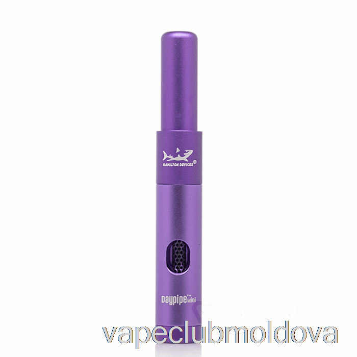 Kit Vape Pod Hamilton Devices Daypipe Mini Violet